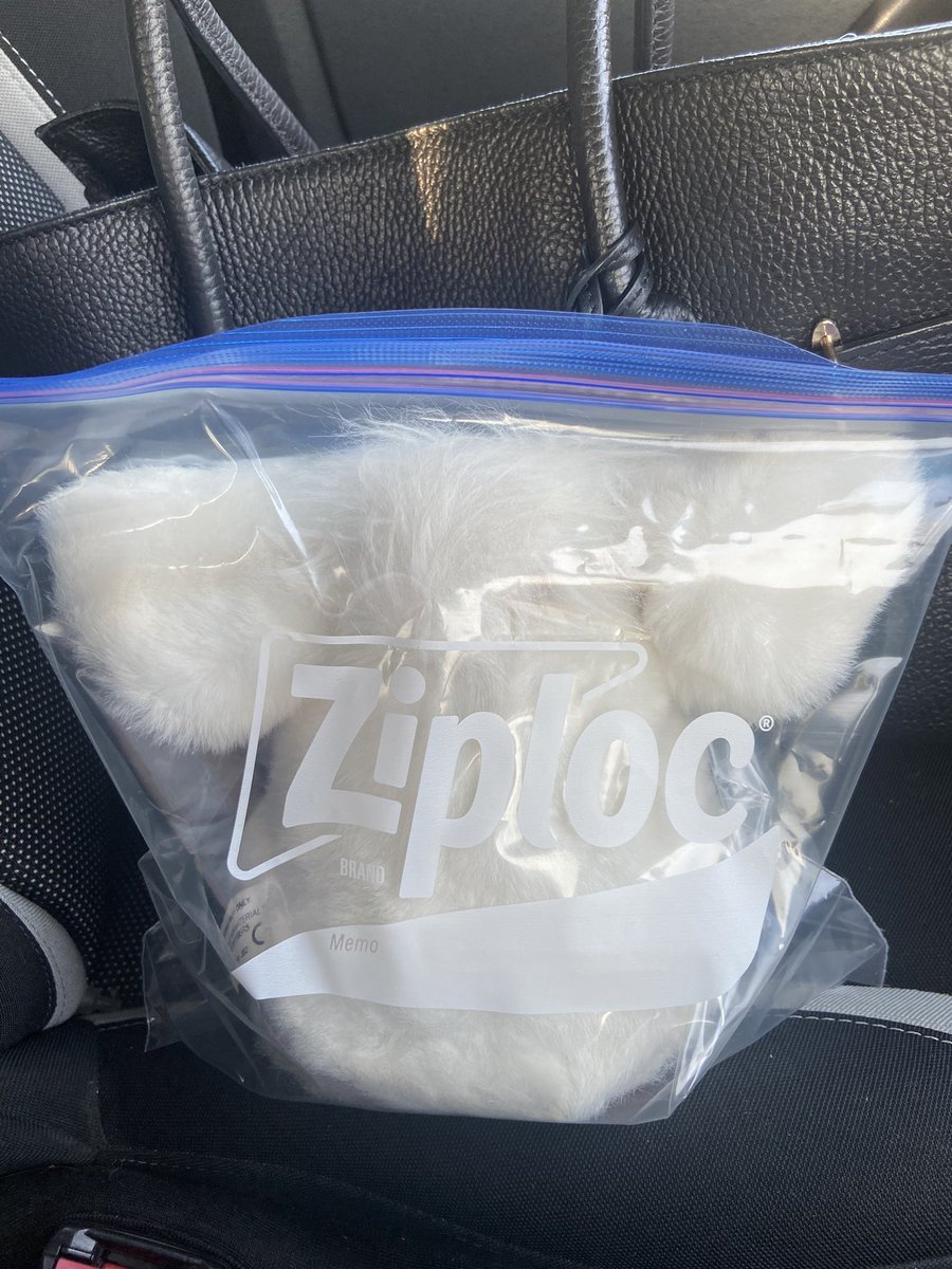 nnnchayazo's tweet image. 🛍️ #furby #ziploc