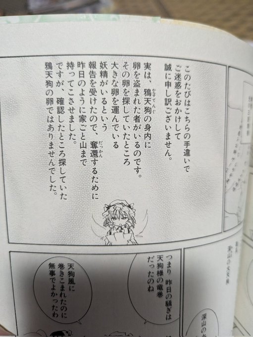 白月精にて書かれている「烏天狗は卵を生む」という事実。つまり、射命丸や姫海棠はな…分かるな?これ以上言わなくとも。分かるはずだ。お前なら…… 