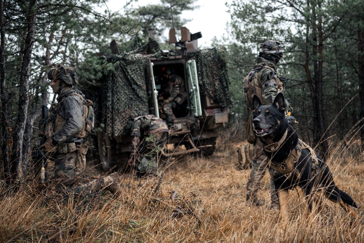 Armée de Terre tweet media