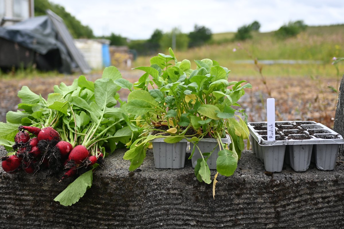 Keywater Fisheries tweet media