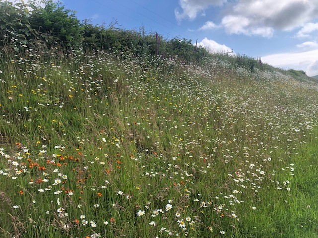 Gethin Davies 🇺🇦 🏴 tweet media