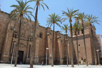Colegio Oficial de Arquitectos de Sevilla tweet media