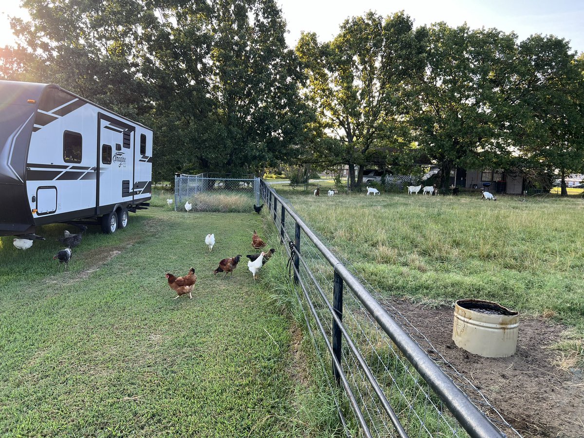 Sunset Ridge Homestead tweet media