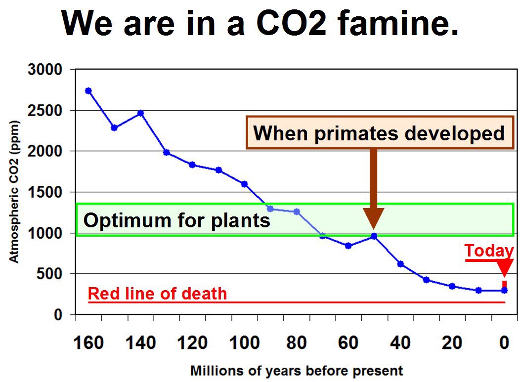 wideawake_media's tweet photo. Today's atmospheric CO2 is dangerously close to the level at which plant life starts to die.

Plants are at the bottom of the food chain. If plant life dies, all animal and human life dies too. https://t.co/azEhhTwzpN