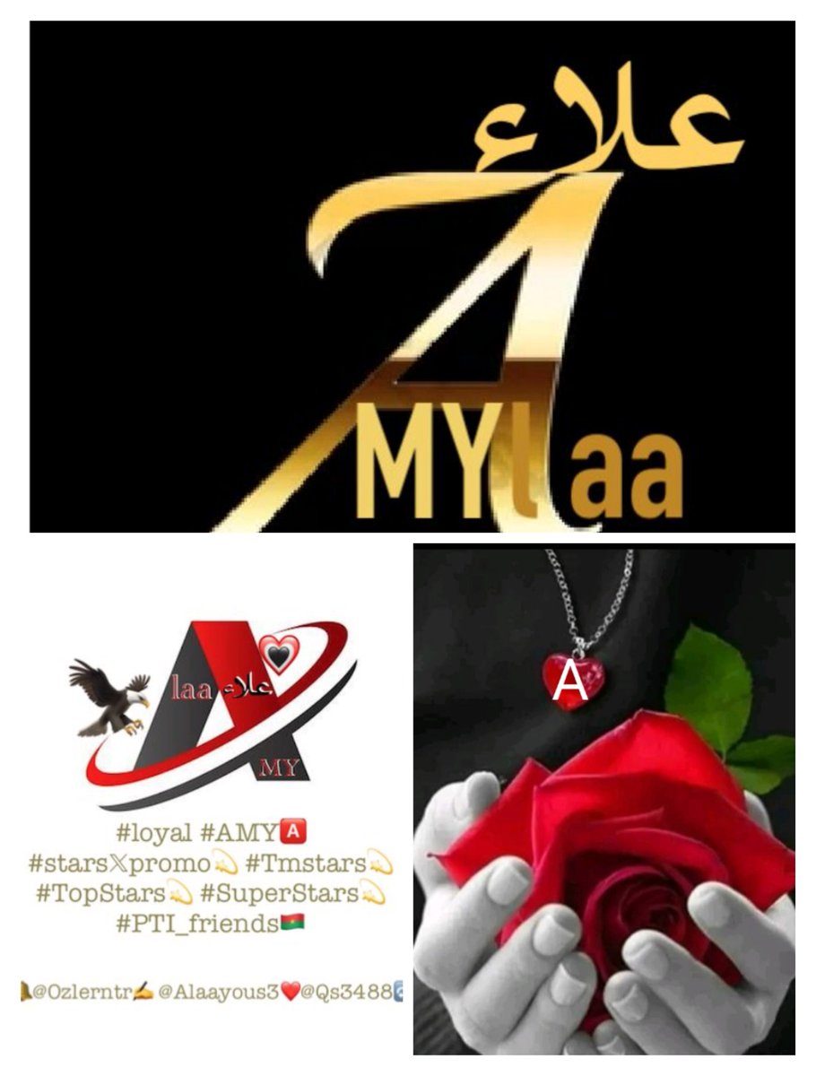 alaa amy tweet media