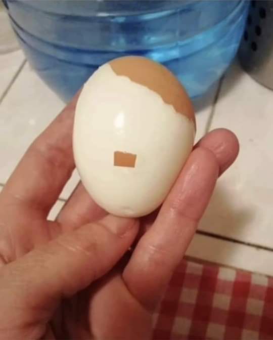 ErigolDelViento's tweet photo. El Führegg https://t.co/sqdTgDZhoX