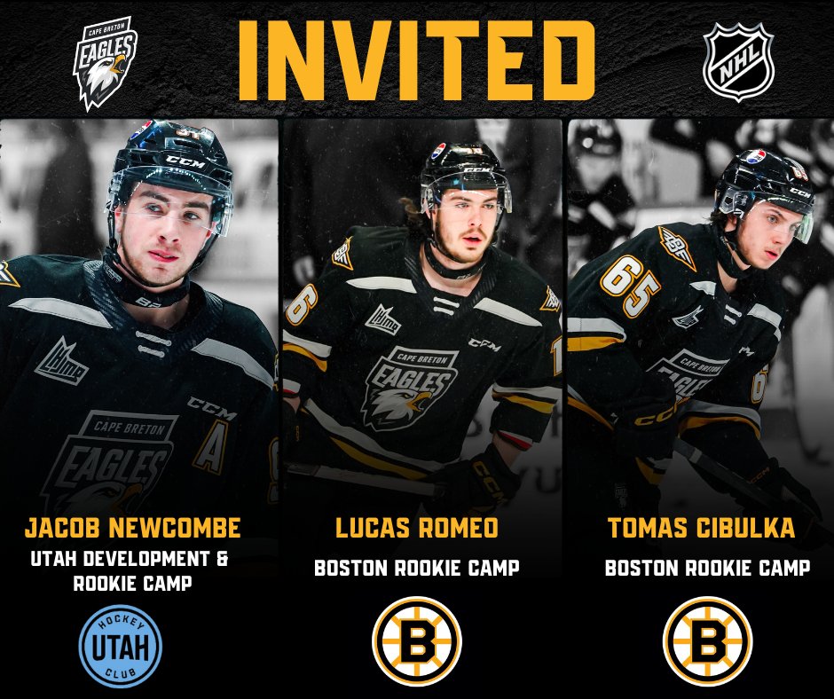 Congratulations to Jacob Newcombe who will be attending <a href="/utahhockeyclub/">Utah Mammoth</a>'s development camp this week!

Later this summer, Lucas Romeo and Tomas Cibulka will both attend <a href="/NHLBruins/">Boston Bruins</a> rookie camps!