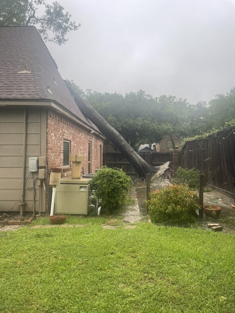 Amanda Ankney tweet media