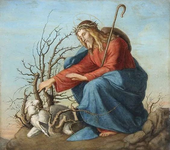 St. Padre Pio Quotes tweet media