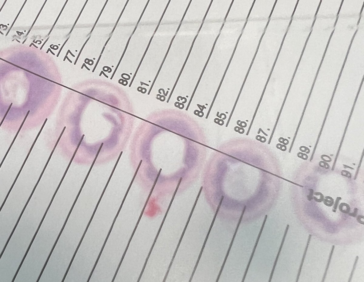 David Afework, MD tweet media