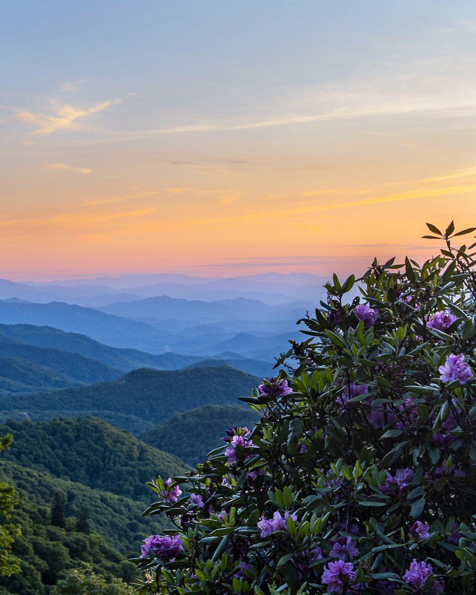 NWS GSP (@nwsgsp) on Twitter photo Nothing beats sunsets along the Blue Ridge Mountains of North Carolina #ncwx
Photo Credit: <a href="/AshevillePictu1/">Asheville Pictures</a> Nothing beats sunsets along the Blue Ridge Mountains of North Carolina #ncwx
Photo Credit: <a href="/AshevillePictu1/">Asheville Pictures</a>
