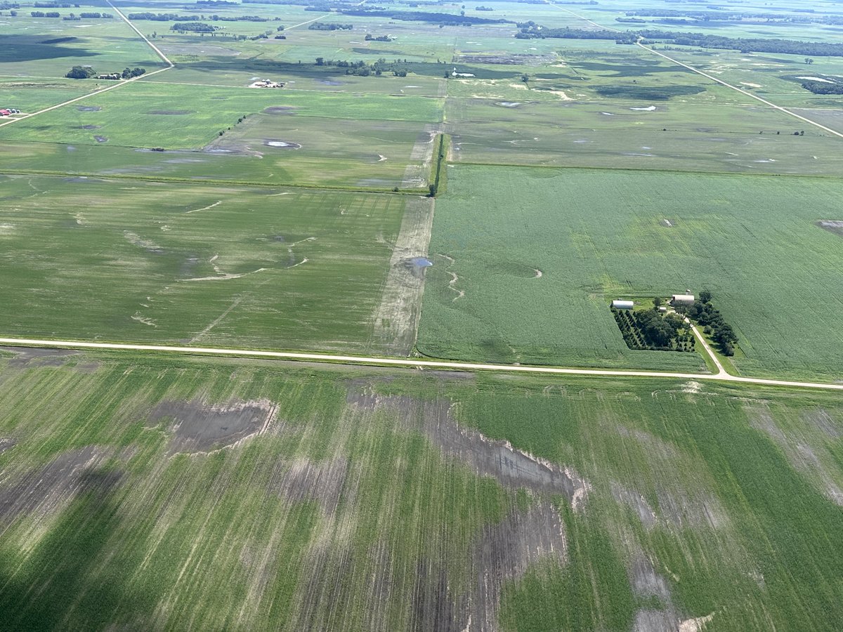 Jodi DeJong-Hughes tweet media