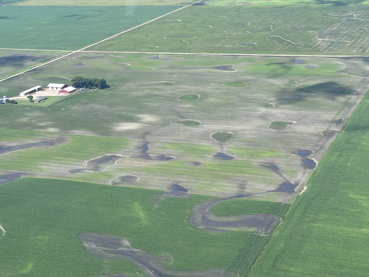 Jodi DeJong-Hughes tweet media