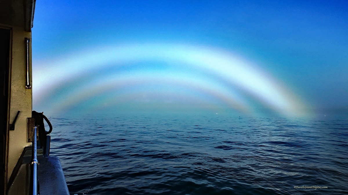 DerekGrantDigital.com (@naturepaparazzi) on Twitter photo Triple Fogbow with hints of color over Machias Seal Island 06/08/24 #ShareYourWeather #ThePhotoHour #StormHour <a href="/MurphTWN/">Chris Murphy TWN</a> <a href="/KMacTWN/">Kim MacDonald 🌻</a> <a href="/weathernetwork/">The Weather Network</a> Triple Fogbow with hints of color over Machias Seal Island 06/08/24 #ShareYourWeather #ThePhotoHour #StormHour <a href="/MurphTWN/">Chris Murphy TWN</a> <a href="/KMacTWN/">Kim MacDonald 🌻</a> <a href="/weathernetwork/">The Weather Network</a>