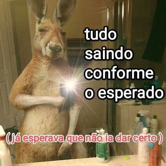 TerrorCotidiano's tweet photo. https://t.co/lhERO9fBJ4