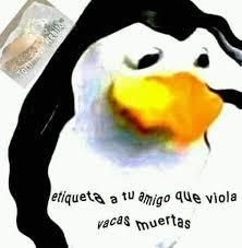 OinfCa28586's tweet photo. @KoolAidNoriega  doxearon a xiaro has un directo explicando https://t.co/KOflGOKnBq