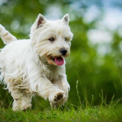 MoneyTalksWeb's tweet image. #NewProfilePic