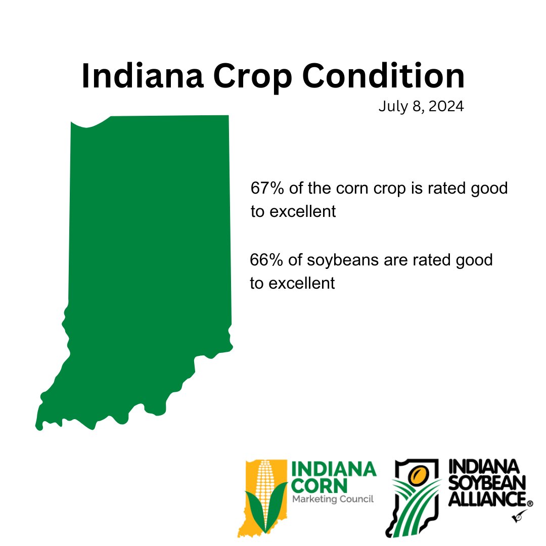 INCornFarmers's tweet image. The @USDAgov says timely rains improved soil moisture levels and bolstered crop conditions last week in Indiana. 

#cropprogress #grow24 #USDA #corn #soybeans