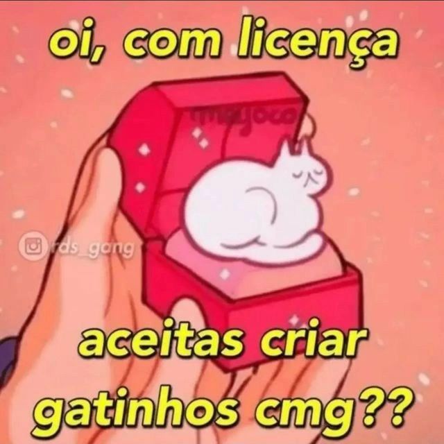 Memes para marcar ele(a) (@memeparaoarroba) on Twitter photo 