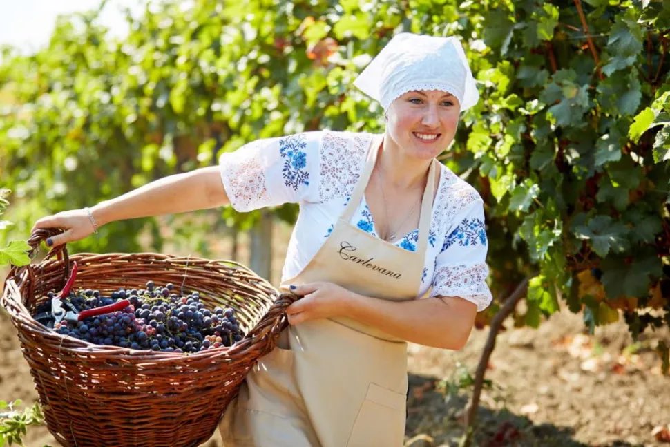 Wine Bar by CMB tweet media