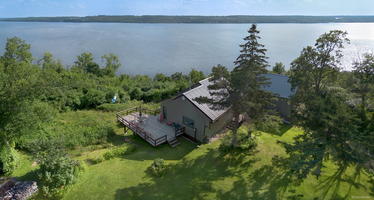 Harry Foster tweet media