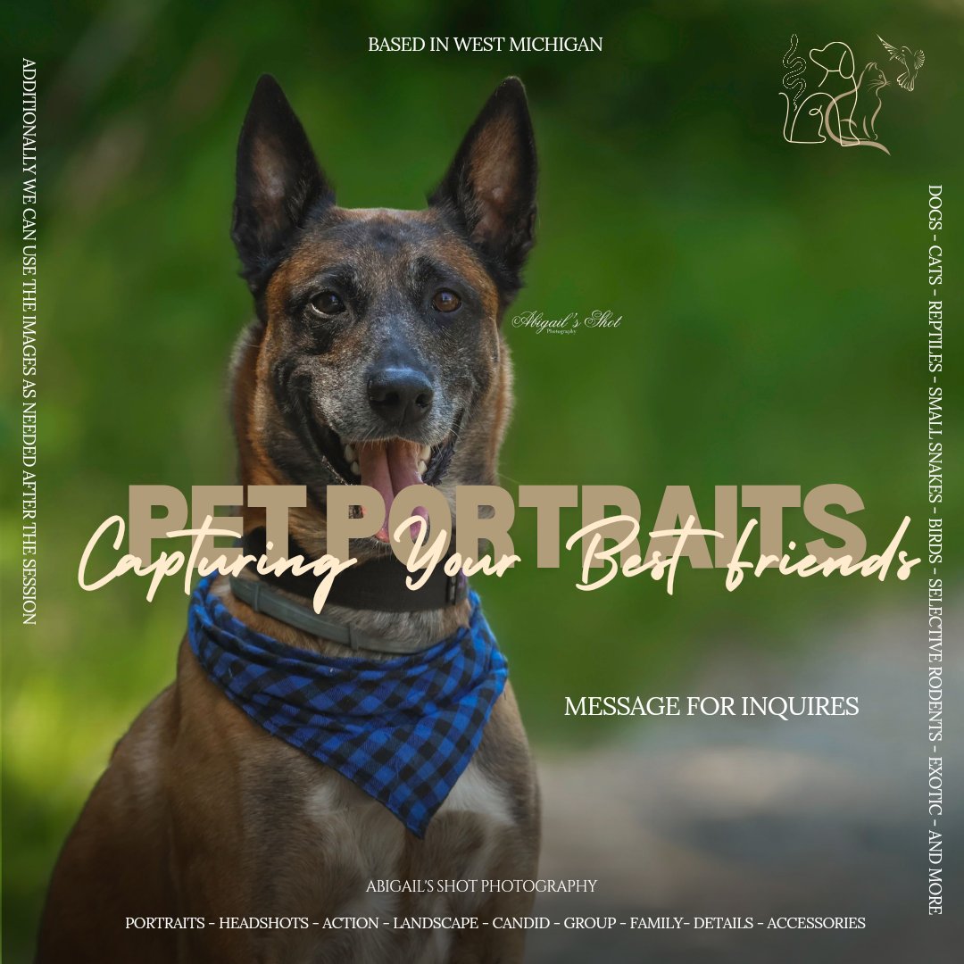 henry_abig96078's tweet image. Inquires Availabile 
- Based in West Michigan 

#petphotography #PetPortrait #petmodel #animalportrait #animallovers #animallovers  #petlovers #cats #dogs #reptiles #exoticpets #birds #family