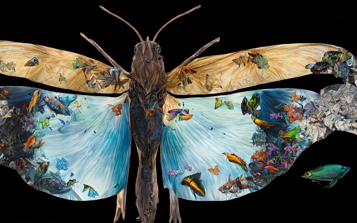 naturegraphique's tweet photo. Création en cours pour un mapping vidéo sur la biodiversité.
😀 Apparition d'un univers marin dans les ailes d'une libellule. #art #video #biodiversité #graphique #nature #vidéo #mapping #design #création #motion
https://t.co/R4NHrd7AVq https://t.co/HDCsk78QX7