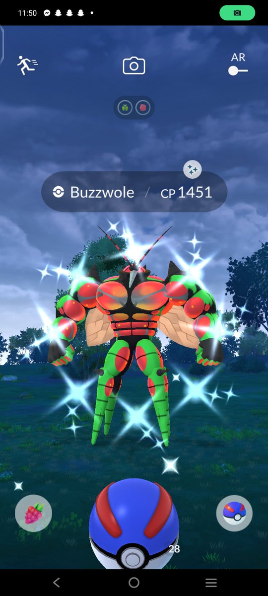 Late night shiny mosquito 🦟