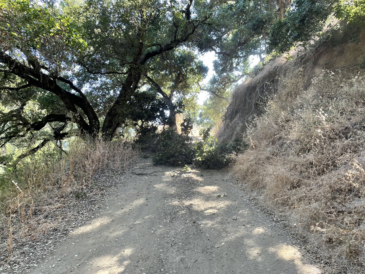 Brightside_CA's tweet photo. We have a tree that fell across the wireless site access road on 7/7/2024.  Give us a few days to remove it.  If you need to urgently access a site please call the landlord hotline. https://t.co/DPji7irI2Z