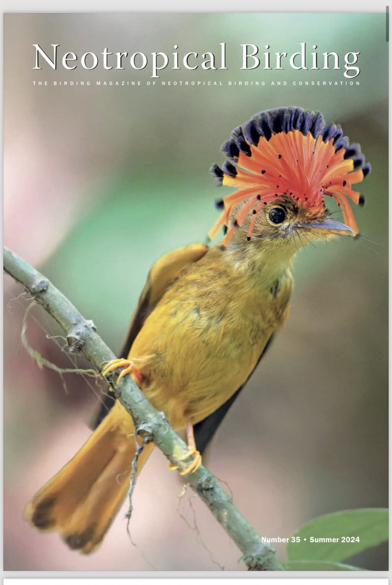 Ryan Irvine tweet media