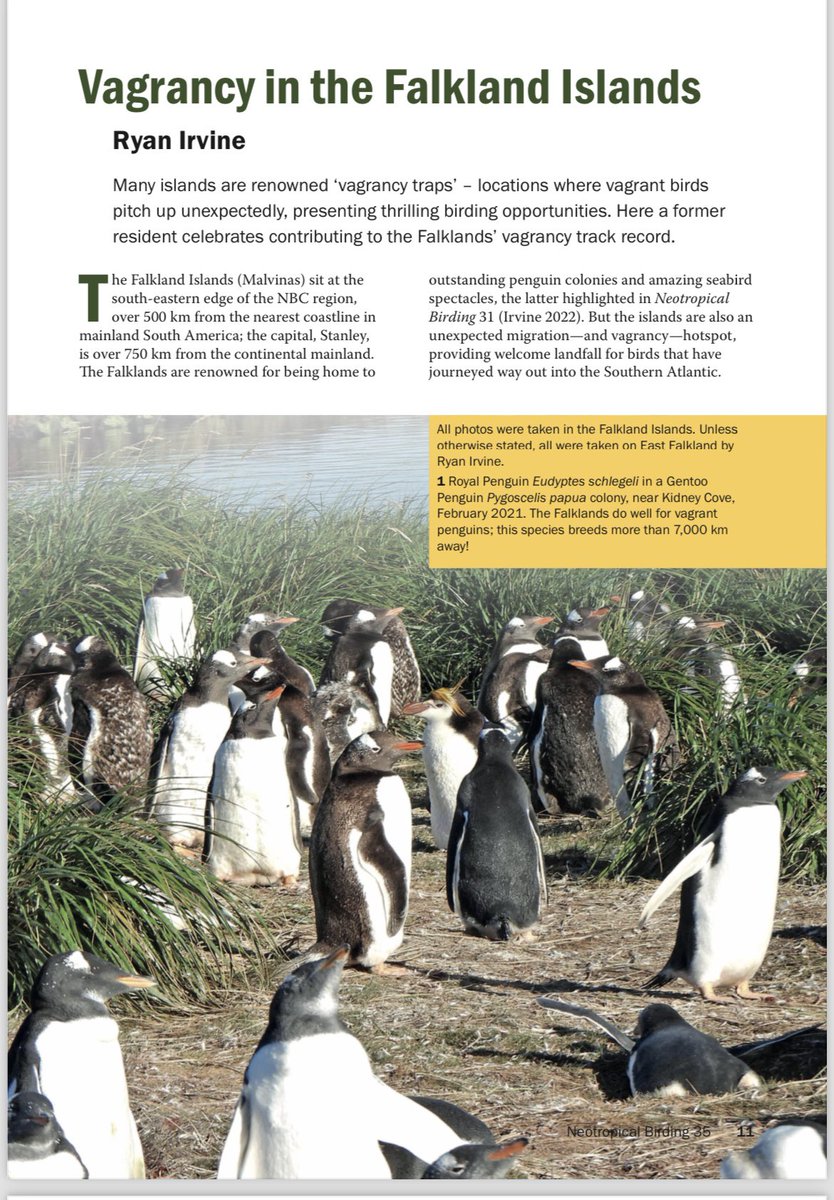 Ryan Irvine tweet media