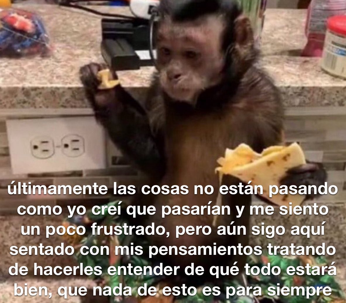 conoloracigarro's tweet image. 