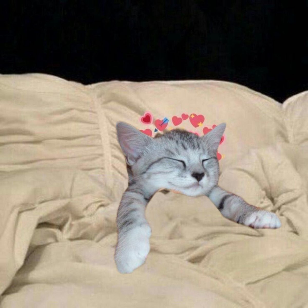 <a href="/0xEnjooyer/">Enjooyer</a> <a href="/0xEnjooyer/">Enjooyer</a> check out the $gn cto, cant rug is there’s no dev