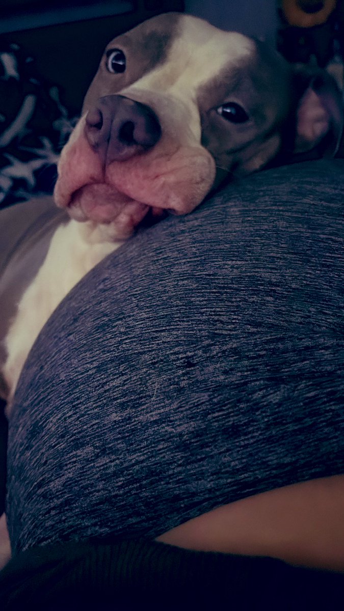 val♥️ tweet media