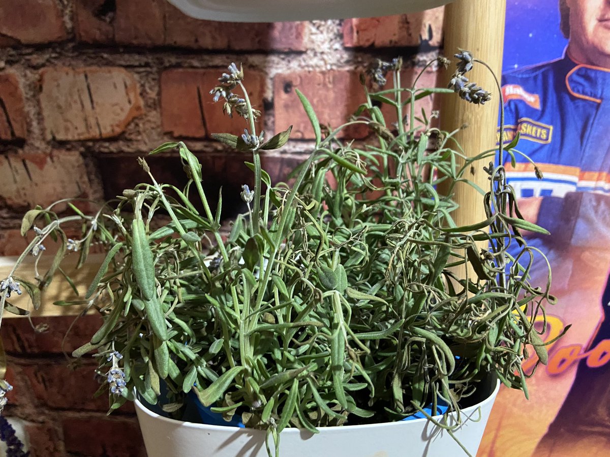 5 Tage hat sie überlebt. Fünf. Tage.