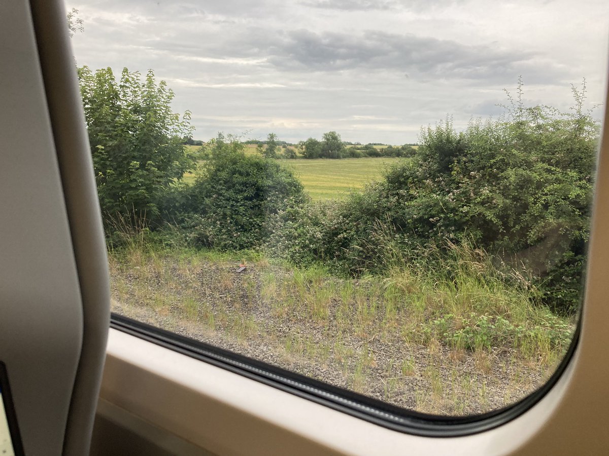 iain blatherwick (@blatherwickiain) on Twitter photo Should be watching <a href="/TomHolland1996/">Tom Holland</a> coming on stage in Romeo & Juliet now. Instead here’s a photo of a field somewhere in Cambridgeshire… nearly been on this train longer than we queued to buy the tickets in the first place - argh! Should be watching <a href="/TomHolland1996/">Tom Holland</a> coming on stage in Romeo & Juliet now. Instead here’s a photo of a field somewhere in Cambridgeshire… nearly been on this train longer than we queued to buy the tickets in the first place - argh!
