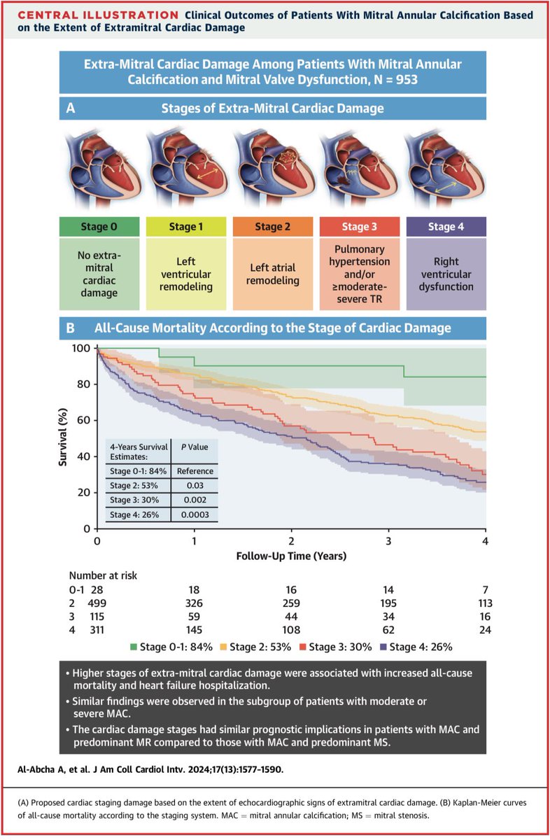 Abdullah Al-Abcha (@abdullahalabcha) on Twitter photo ‼️Check out our #JACCINT manuscript demonstrating the #prognostic implications☠️ of #cardiac_damage🫀 in patients with #MAC and mitral valve dysfunction #MVD
jacc.org/doi/10.1016/j.…
Tremendously grateful to <a href="/MayraGuerreroMD/">Mayra Guerrero, MD</a> ‘s mentorship🙏🏽
1/n👇🏽
<a href="/JACCJournals/">JACC Journals</a> #CardioTwitter ‼️Check out our #JACCINT manuscript demonstrating the #prognostic implications☠️ of #cardiac_damage🫀 in patients with #MAC and mitral valve dysfunction #MVD
jacc.org/doi/10.1016/j.…
Tremendously grateful to <a href="/MayraGuerreroMD/">Mayra Guerrero, MD</a> ‘s mentorship🙏🏽
1/n👇🏽
<a href="/JACCJournals/">JACC Journals</a> #CardioTwitter
