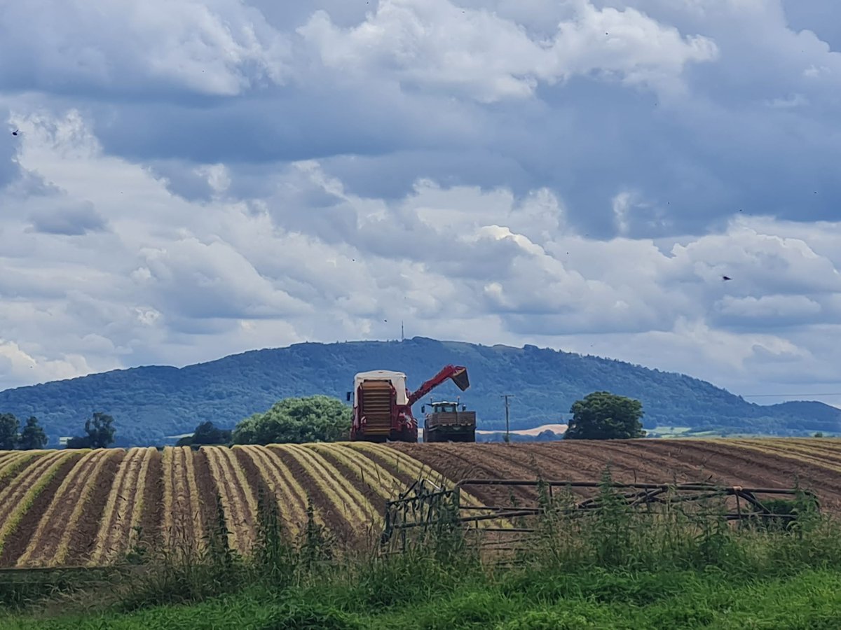 Ellerdine Ed tweet media