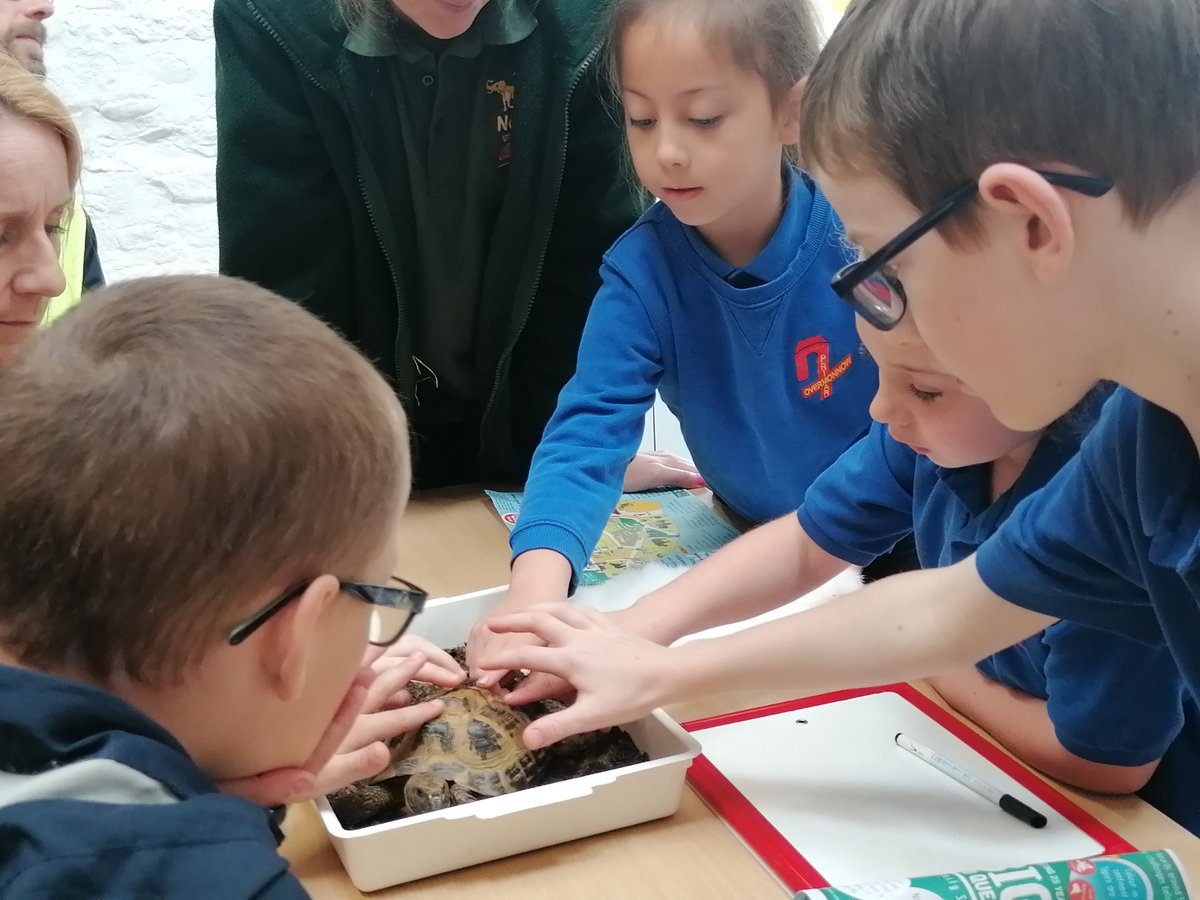 Dosbarth Caswell had an amazing time at Noah's Ark Zoo Farm today. We saw lots of wonderful animals and took part in a 'Save our Species' workshop where we consolidated and extended our learning on endangered animals.