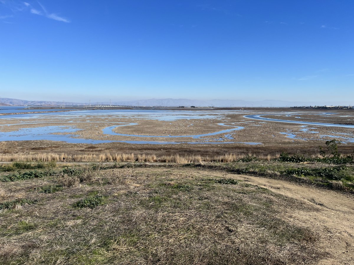 Our latest grant round is open! We fund shoreline restoration in the San Francisco Bay. Join the webinar July 23 to learn more. sfbayrestore.org/announcement/s…