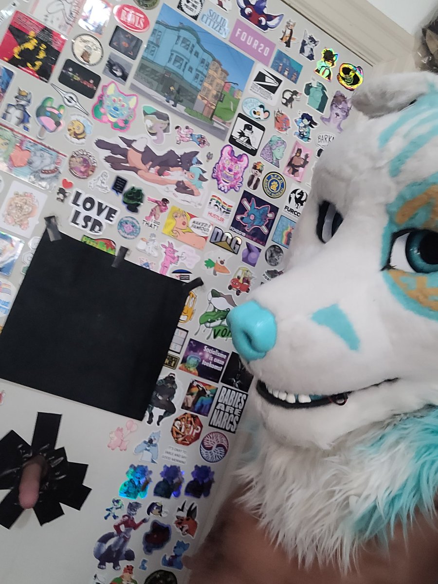 Zak Knotty Fusky😋 tweet media