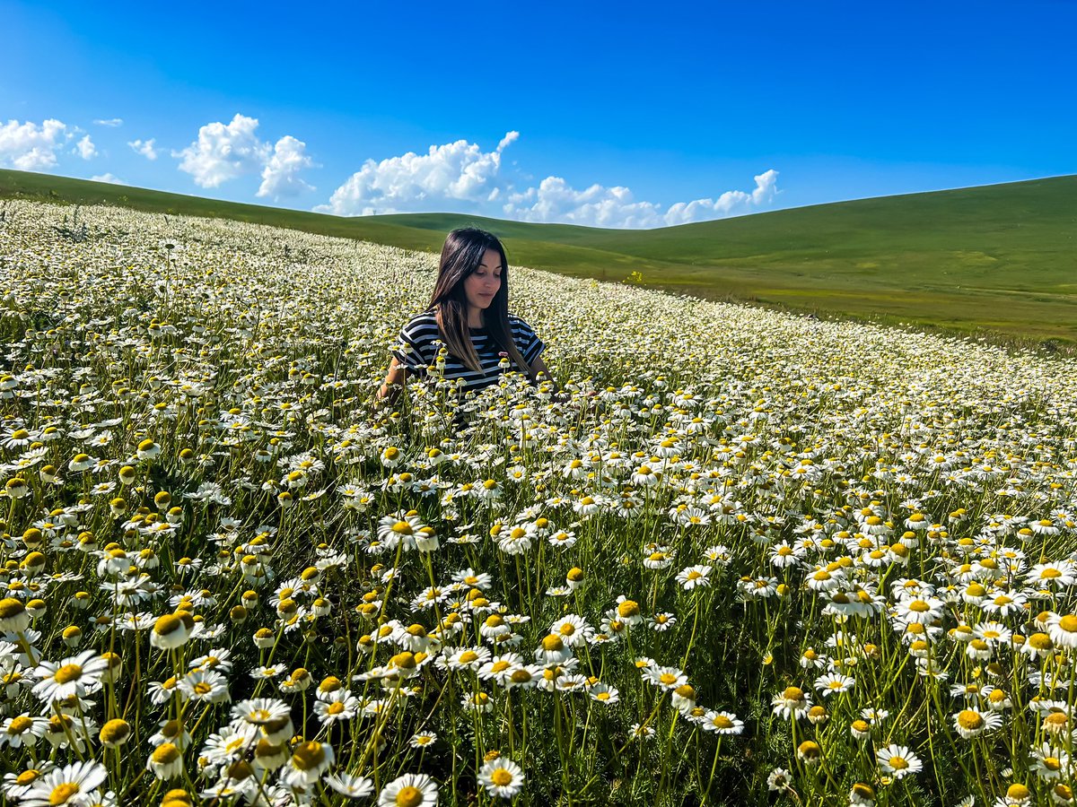 nerminerkann's tweet photo. 🌼 https://t.co/DudWKWGcsb