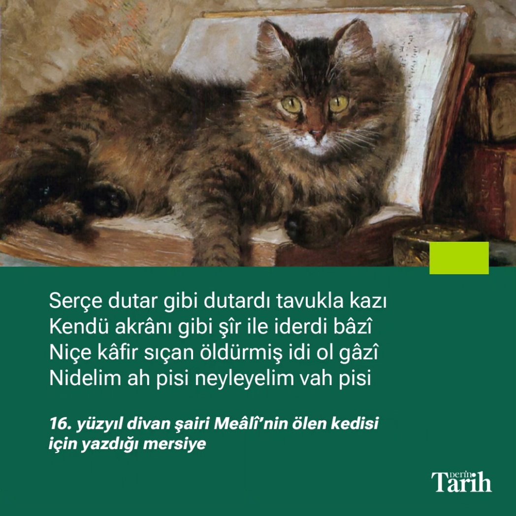derintarih's tweet photo. https://t.co/eCUlAdj0vH