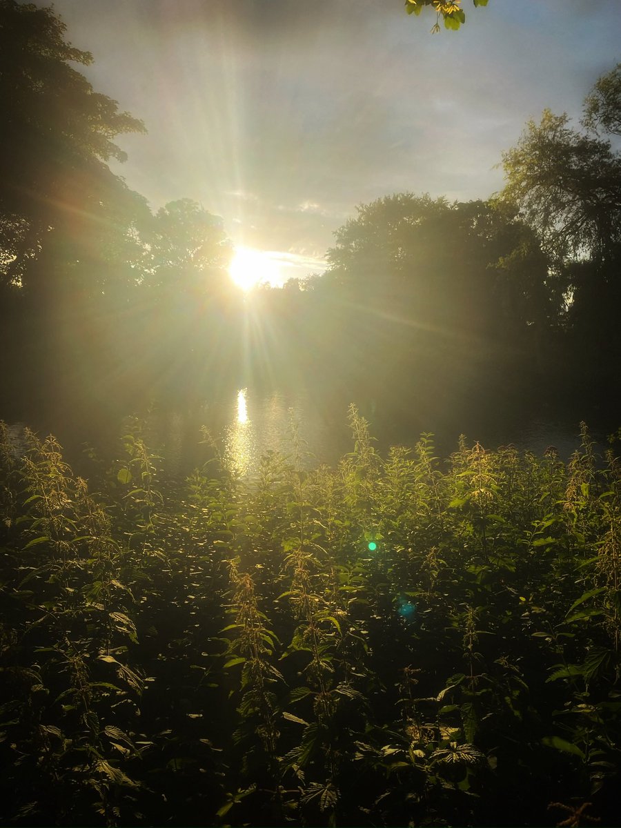 joymarie_h's tweet photo. #goldonhour #eveningwalks #sungoingdown #victoriapark #sthelens https://t.co/tlIyO4Sq78