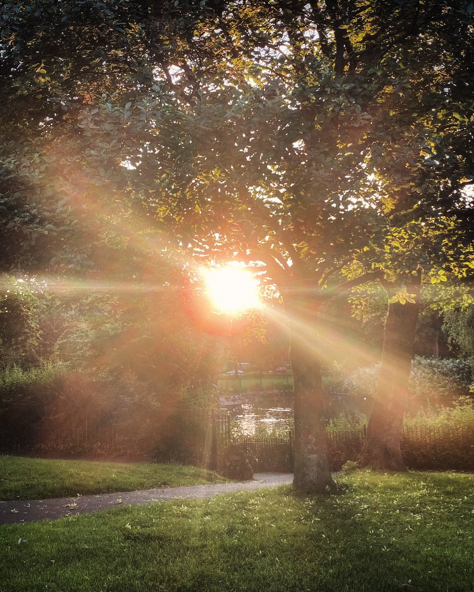 joymarie_h's tweet photo. #goldonhour #eveningwalks #sungoingdown #victoriapark #sthelens https://t.co/tlIyO4Sq78