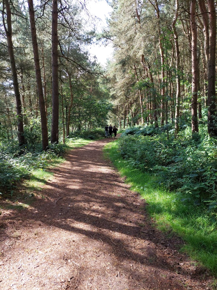 Nature walk in Outdoor Learning, finally a bit of sunshine 🌞