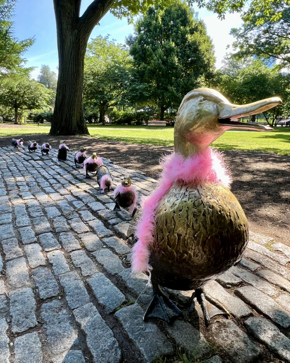 EmColonial's tweet photo. The ducklings want to look just like Kristin Chenoweth! 🦆💗
Just like the beloved Make Way for Ducklings statue, @qovmusical is marching its way through Boston this summer!
Performances start July 16! Get tickets now → https://t.co/oCqdYYK2Tu
#makewayforducklings https://t.co/wOv7u0cSxS