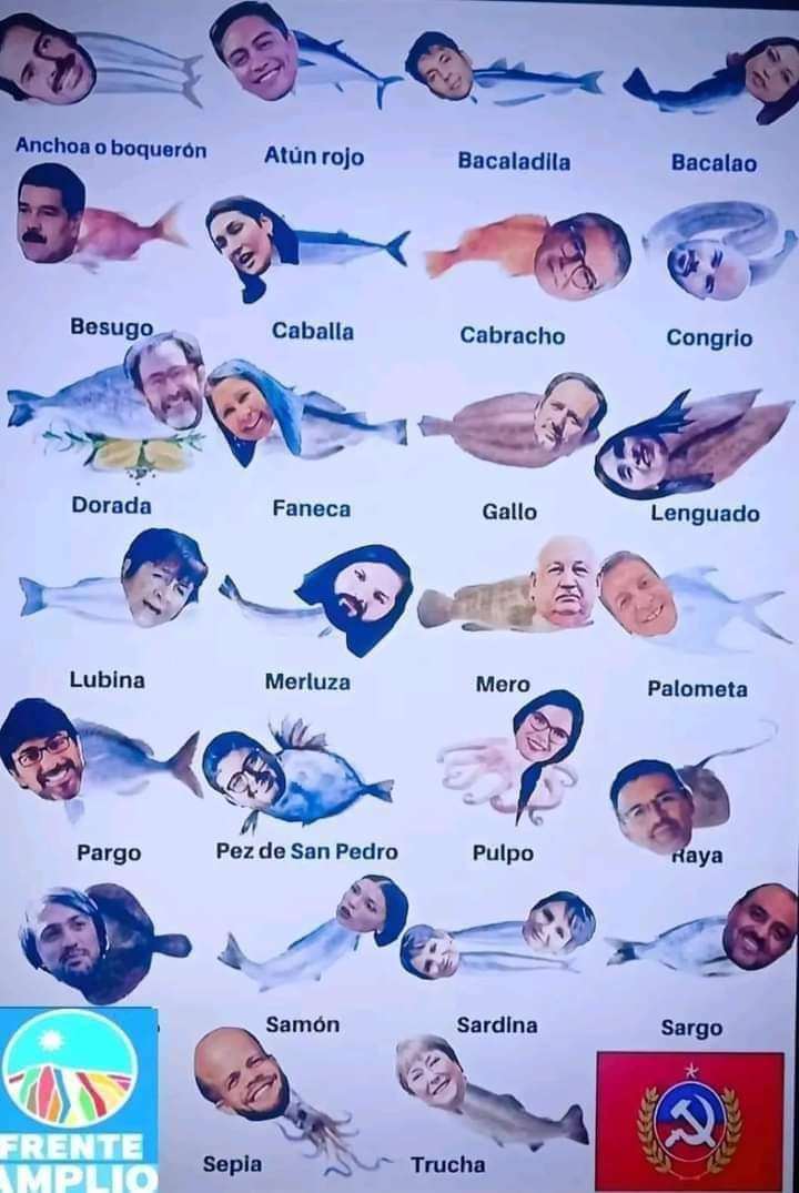 Patricio\+/UC🇨🇱 tweet media
