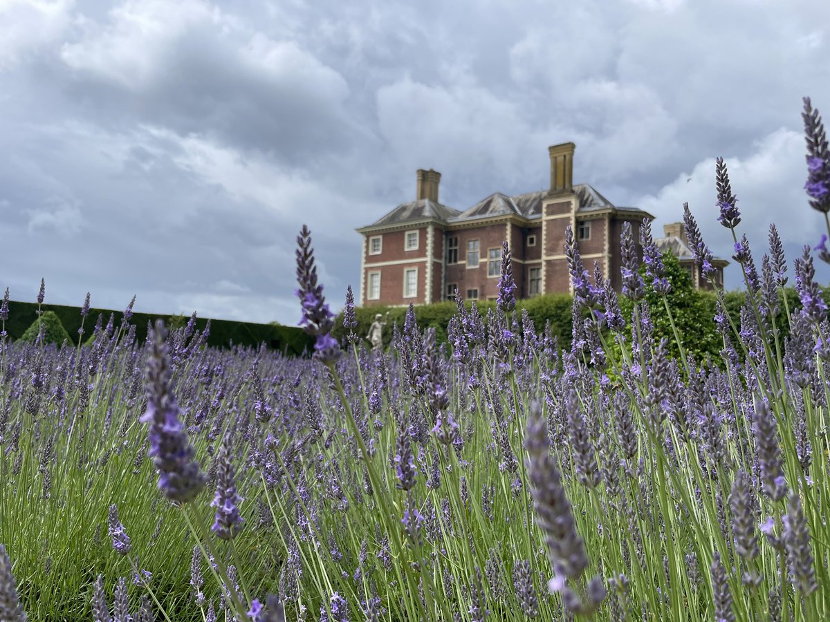 CathCooke18's tweet photo. Evidence that nature can provide moments of beauty and calm that lift the spirit @HamHouseNT #nature #gardens 💜🐝💜 https://t.co/HVxdeLarCo