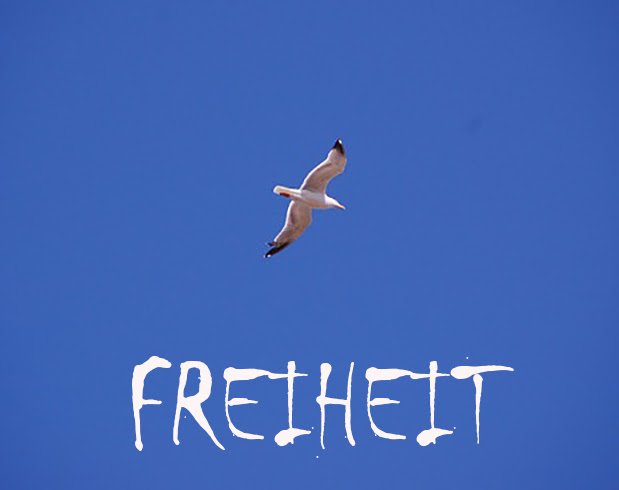 mehrwortwert's tweet image. #Haiku #Systemimmanent: ob  #Staaten stets #Bürger beherrschen wollen, dabei braucht niemand je #Herrschaft.

 flaneurgedichte.blogspot.com/2024/07/system…